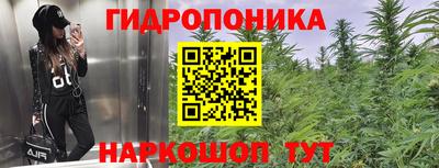 сатива Дубна