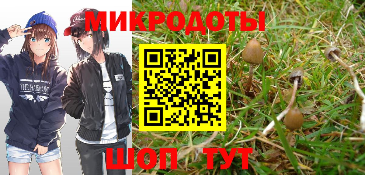 Ипатово  Псилоцибиновые грибы GOLDEN TEACHER  Вход с VPN 